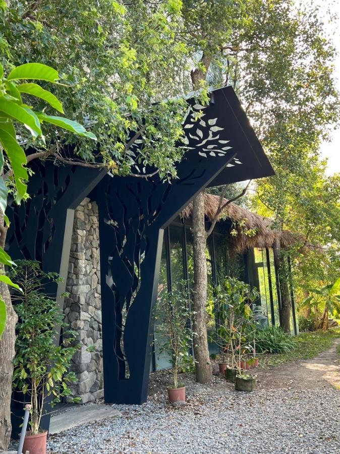 La Tree 普椿農場木子莊園 Appartement Donghe Buitenkant foto