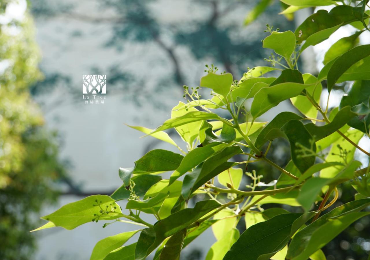 La Tree 普椿農場木子莊園 Appartement Donghe Buitenkant foto