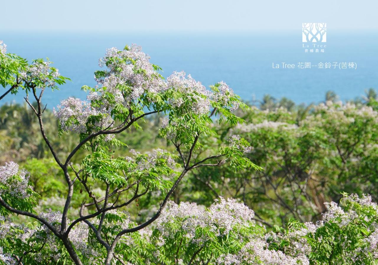 La Tree 普椿農場木子莊園 Appartement Donghe Buitenkant foto
